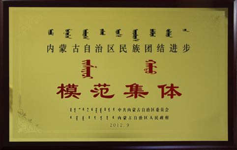 自治區(qū)民族團結進步模范集體